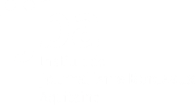 IJBA