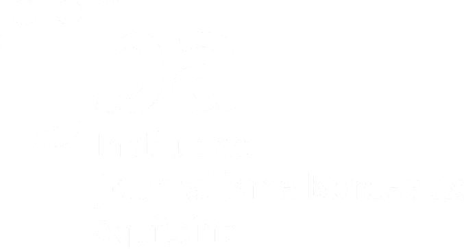 IJBA